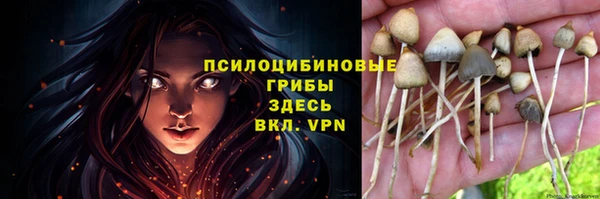 трава Балабаново
